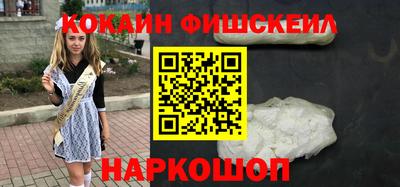apvp Камышлов