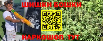 apvp Камышлов