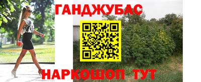 apvp Камышлов