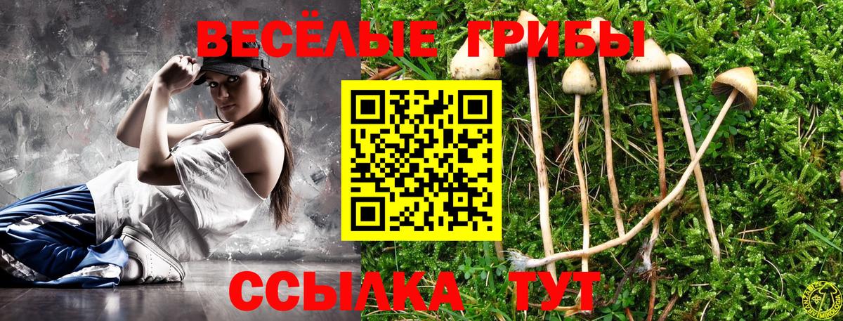 Топки  Псилоцибиновые грибы ЛСД  Вход с VPN 